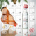 SUPERillu.de - Adventskalender Gewinnspiel 2009